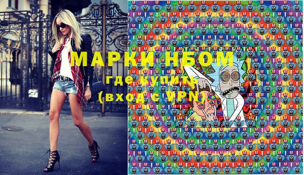 гидра Горняк