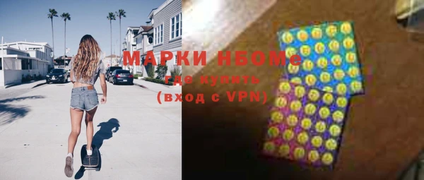 гидра Горняк