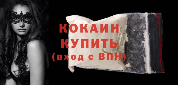 гидра Горняк