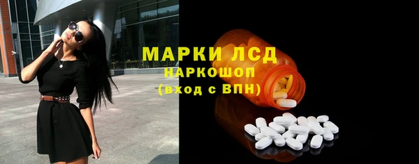 гидра Горняк