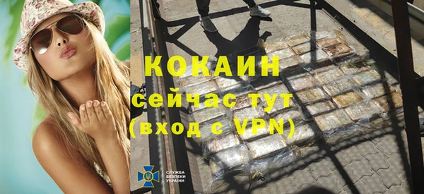 гидра Горняк