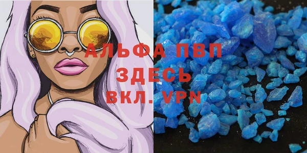 гидра Горняк