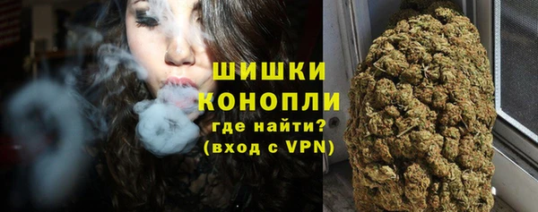 гидра Горняк