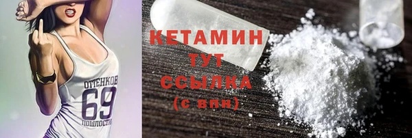 гидра Горняк